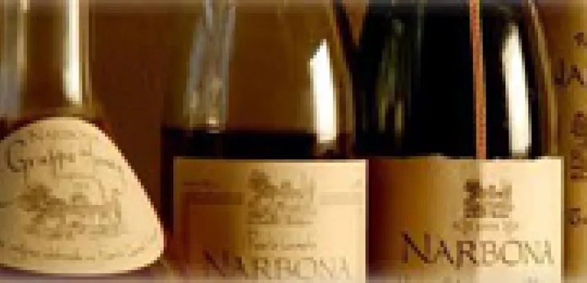 Concurso “Tannat al Mundo” entregó los premios Terruño Concurso “Tannat al Mundo” entregó los premios Terruño