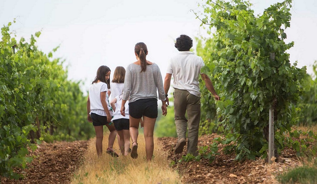 Día Mundial del Enoturismo-Rutas-del-Vino-de-España