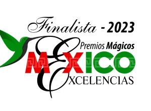 Premios Mágicos por Excelencias