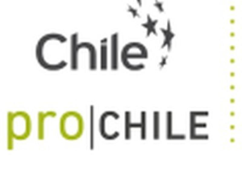 Taller del Vino en la Embajada de Chile en Cuba