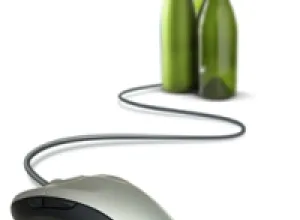 Exhortan a asegurar la protección de los vinos con denominación de origen en Internet