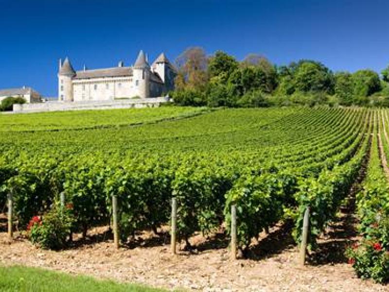 La ruta del Borgoña, mucho más que vinos divinos