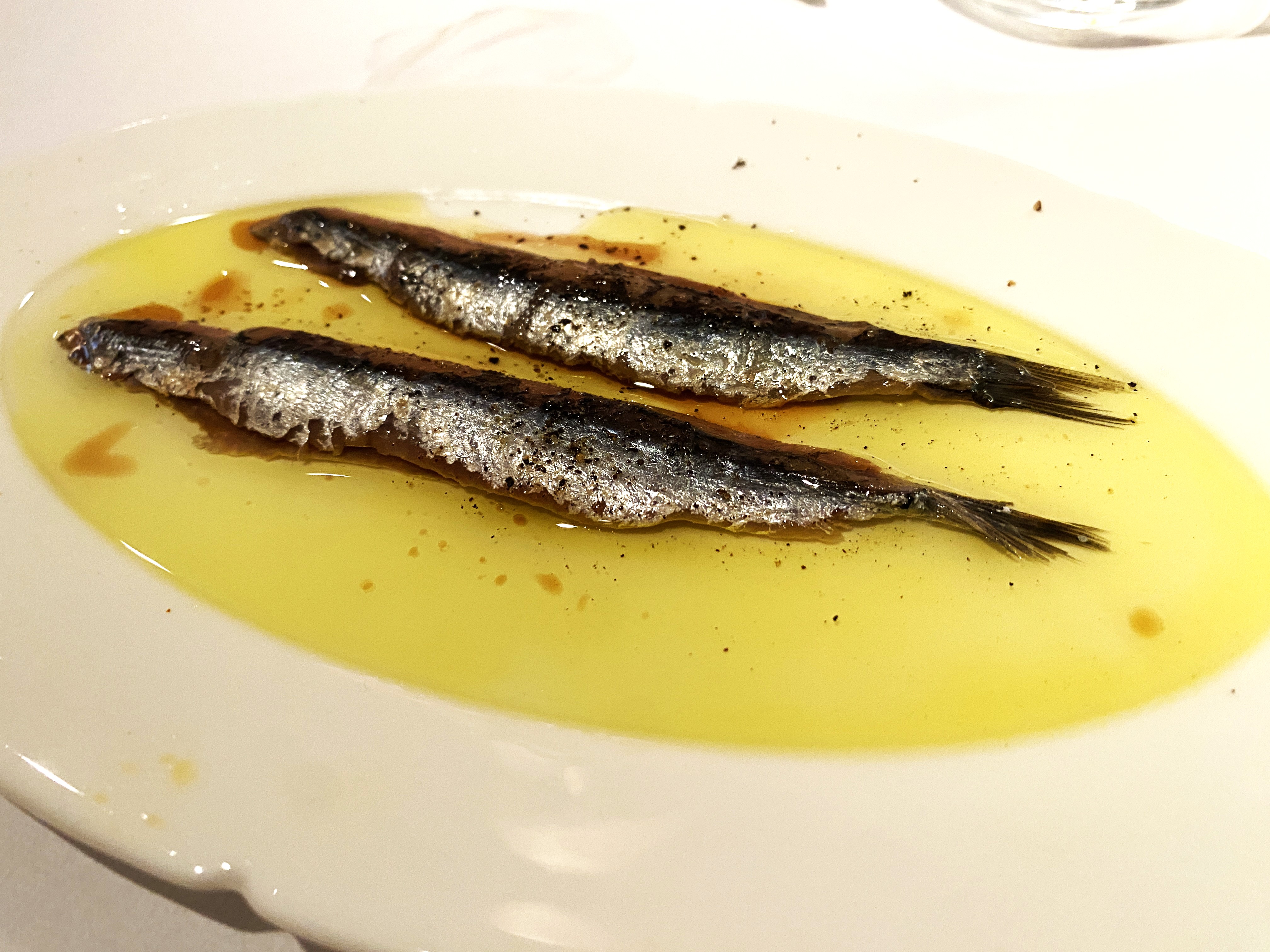 anchoas