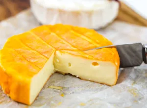 queso