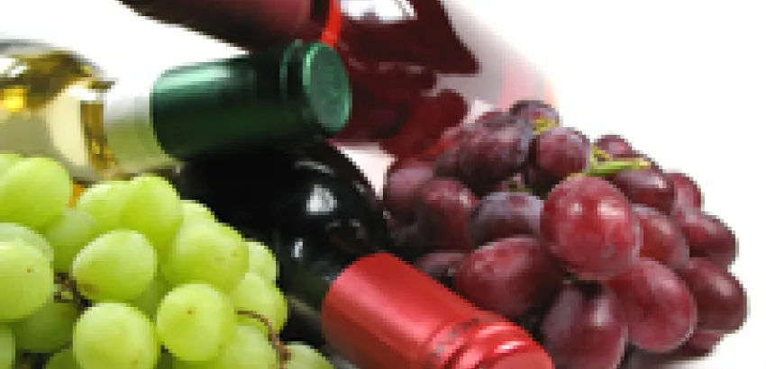 ¿Cuáles son las principales uvas del mundo? ¿Cuáles son las principales uvas del mundo?