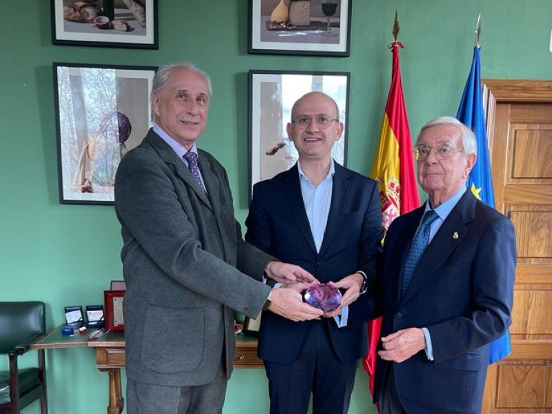 Premios Excelencias 2022