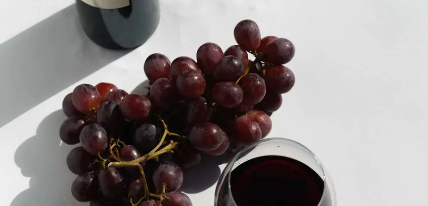 uvas y vino uvas y vino