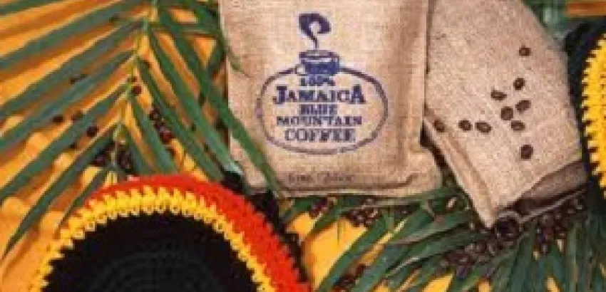 Café de Jamaica, un pedazo del paraíso Café de Jamaica, un pedazo del paraíso