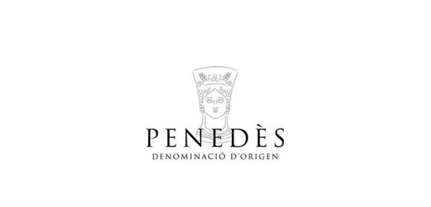 concurso DO Penedés