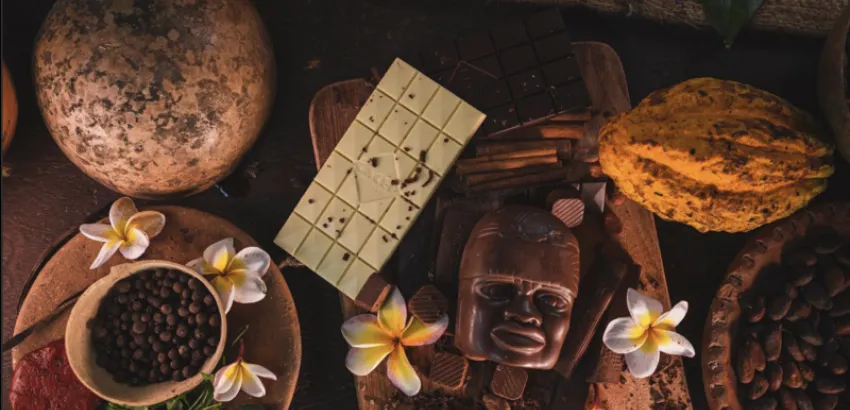 cacao cacao