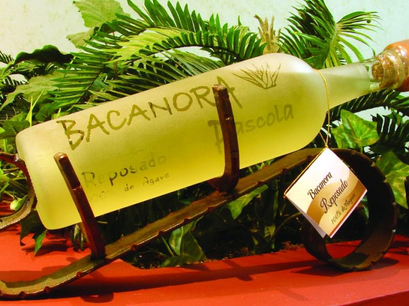 bacanora