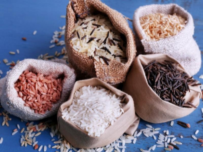 tipos de arroz