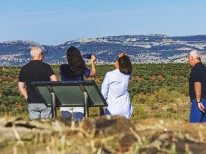 Ruta del Vino y del Cava Ribera del Guadiana