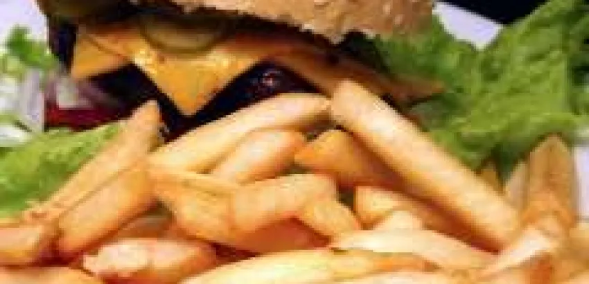 Dieta alta en grasas afecta la calidad del semen Dieta alta en grasas afecta la calidad del semen