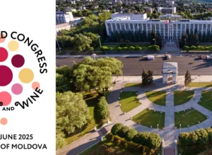 46 Congreso Internacional de la Viña y el Vino 
