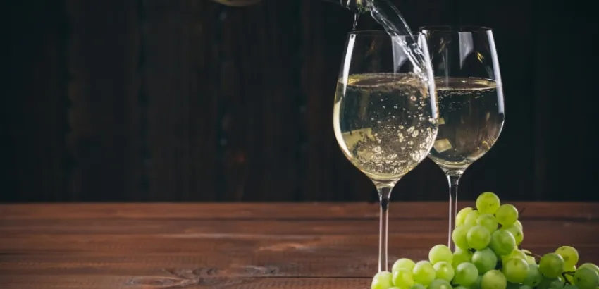 vinos belgas vinos belgas