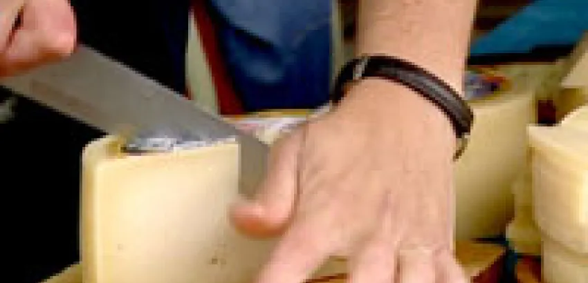 Los españoles dedican casi el cuatro por ciento de su dinero a queso Los españoles dedican casi el cuatro por ciento de su dinero a queso