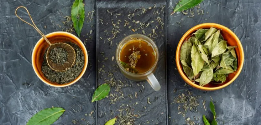 Laurel laurel hojas infusión