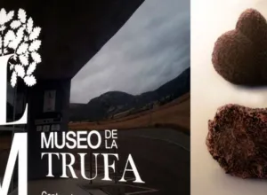 museos de españa