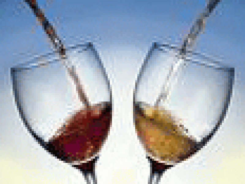 En Chile no faltará el vino pese al terremoto