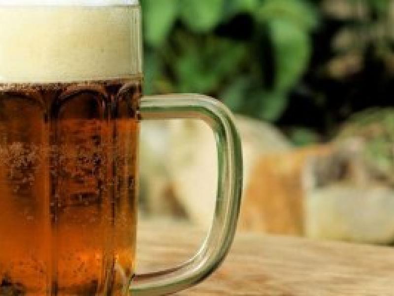 La cerveza se renueva y ya es gourmet