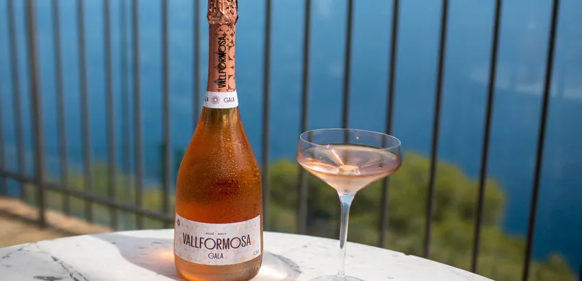Vallformosa Gala Brut Rosé 2019 Vallformosa Gala Brut Rosé 2019