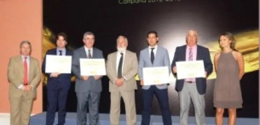 Se entregan los Premios a los Mejores Aceites de Oliva Virgen Extra Se entregan los Premios a los Mejores Aceites de Oliva Virgen Extra