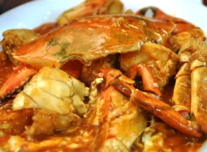 cocina nyonya