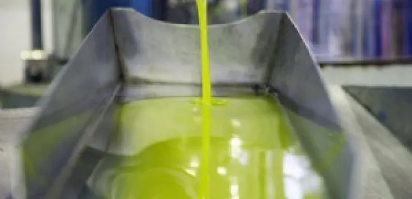 Los aceites alcanzan los 55 millones Los aceites alcanzan los 55 millones