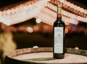 Coahuila-vinos-casa-madero