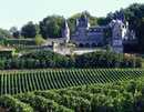 Aprendiendo sobre los vinos de Fronsac