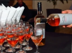 Uruguay “wine friendly”