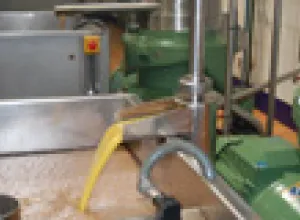 Cooperativa La Milagrosa exportará su aceite con denominación de origen a China y Brasil