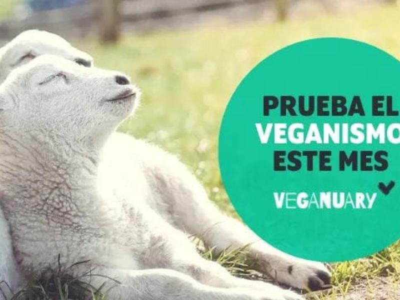 Veganuary