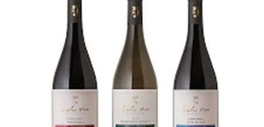 Carlos Moro lanza sus Vinos de Finca Carlos Moro lanza sus Vinos de Finca