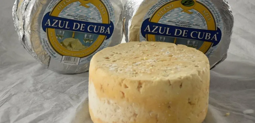 Productos lacteos