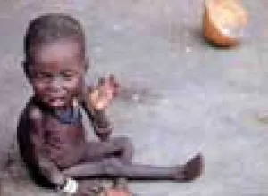Más de mil millones de personas padecen hambre crónica en el mundo según la ONU