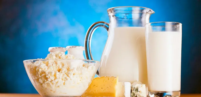 Etiquetado-leche-productos lacteos