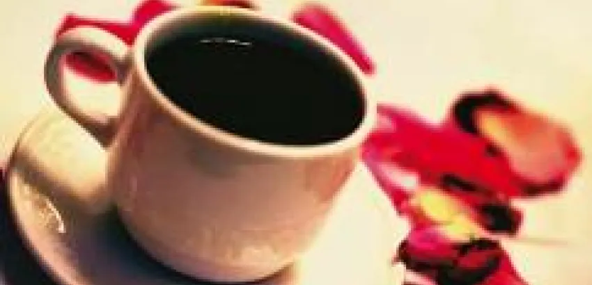 Café panameño, una joya mundial Café panameño, una joya mundial