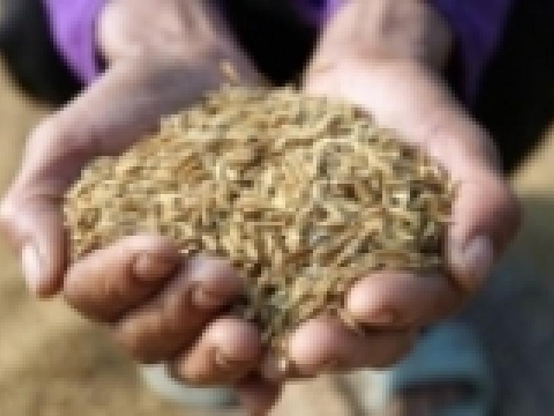 Europa: La crisis económica agravará aún más la situación del mercado alimentario