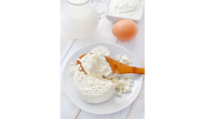 queso cottage fresco con leche y huevo proceso elaboracion