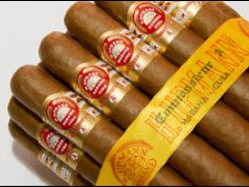 H.Upmann Connossieur A para La Casa del Habano y Especialistas