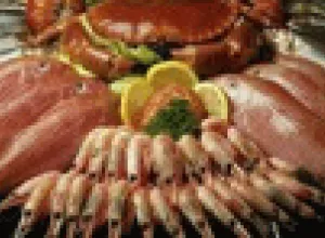 Convocan a concurso Anzuelo de Oro de recetas de pescado