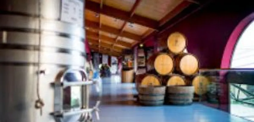 Las Bodegas de Grupo Matarromera ofrecerán actividades especiales por el Día Europeo del Enoturismo Las Bodegas de Grupo Matarromera ofrecerán actividades especiales por el Día Europeo del Enoturismo