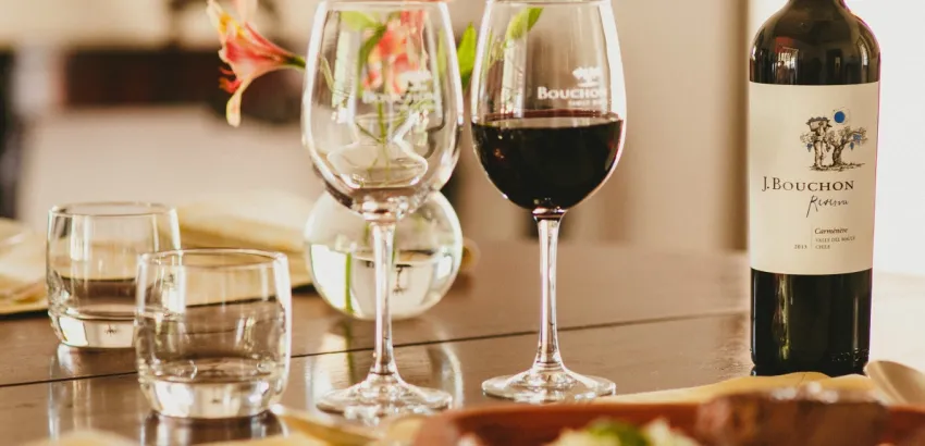 Viña Bouchon-vinos-chilenos