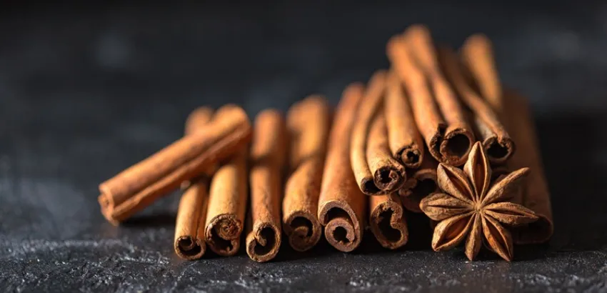 Canela Canela