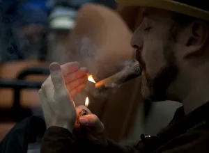 XX Festival del Habano