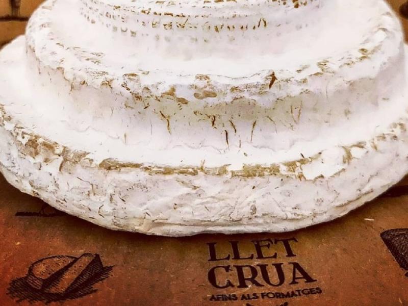 Queso español