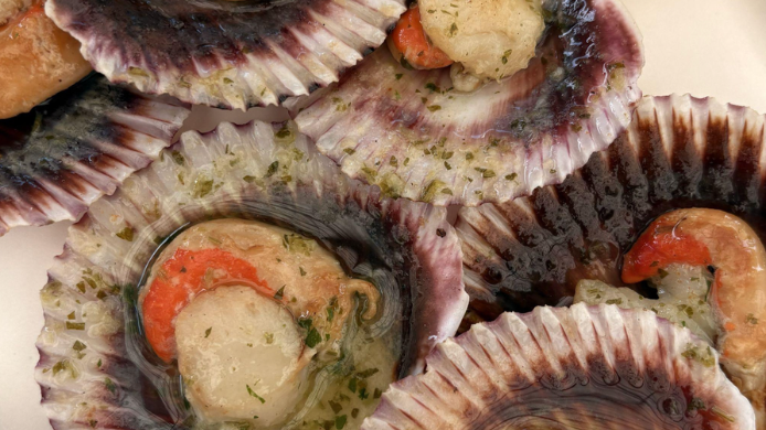 plato de zamburiñas gallegas en la feria del marisco