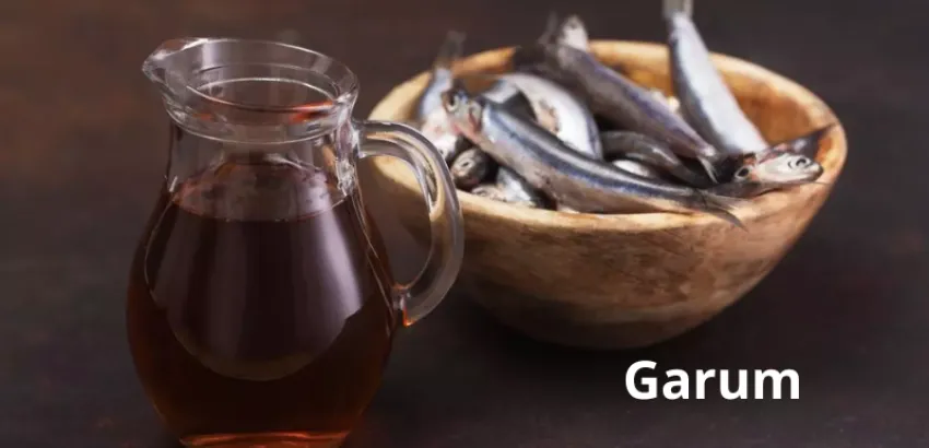 garum garum